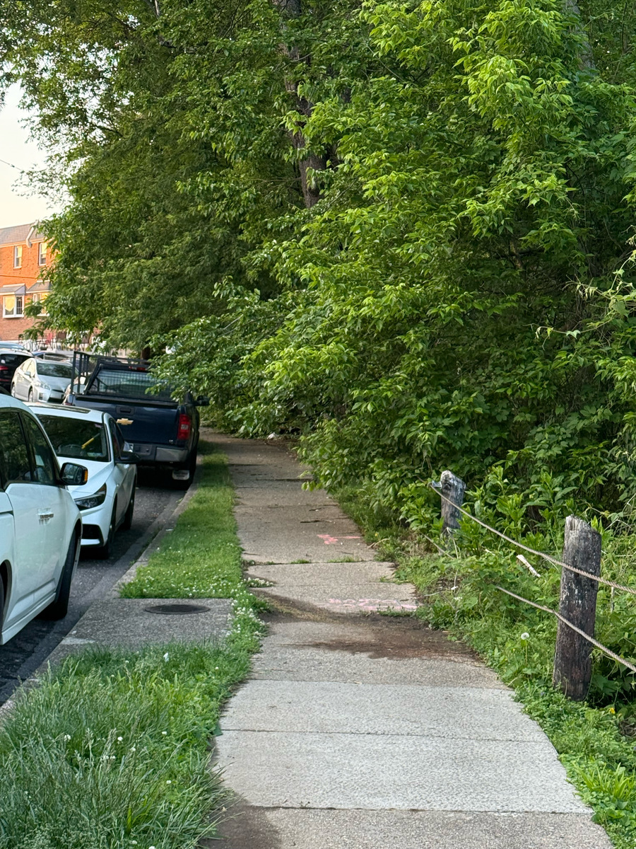 Photographic documentation of the work as submitted to the city's 311 record.