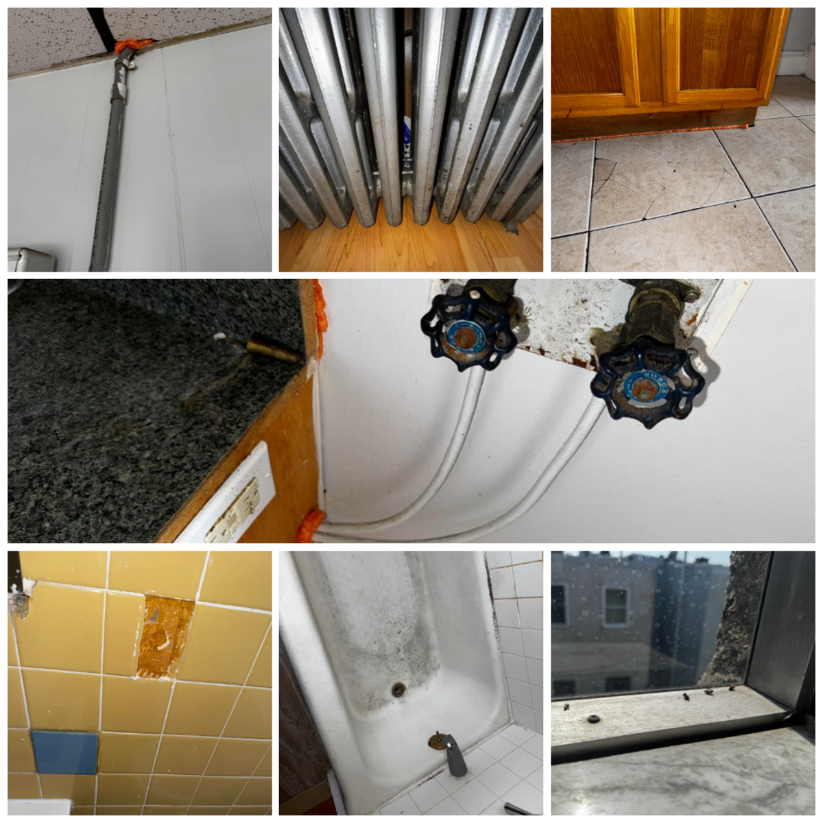Photographic documentation of the work as submitted to the city's 311 record.
