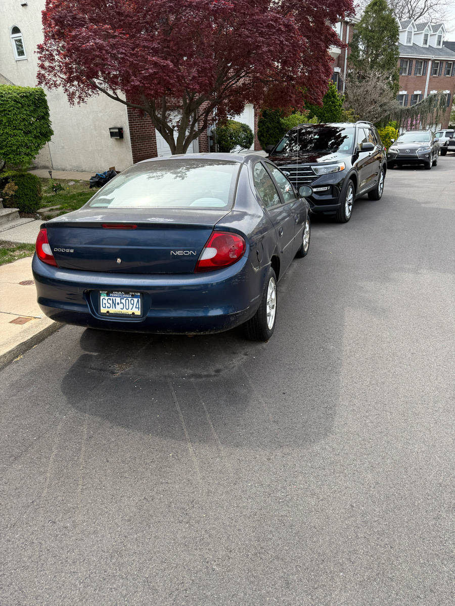Photographic documentation of the work as submitted to the city's 311 record.