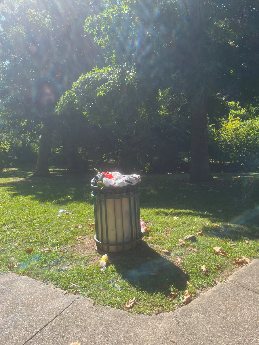 Photographic documentation of the work as submitted to the city's 311 record.
