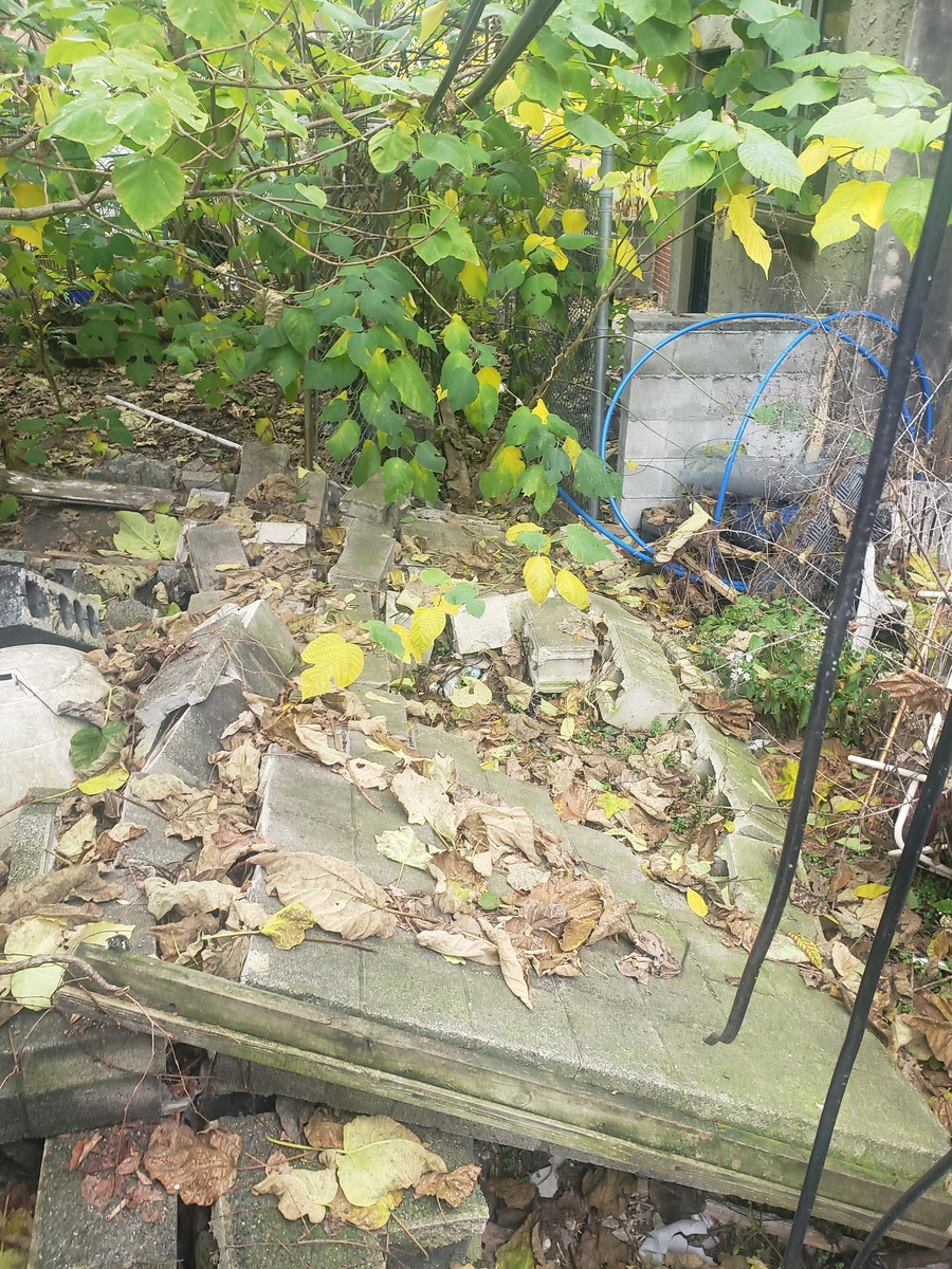 Photographic documentation of the work as submitted to the city's 311 record.