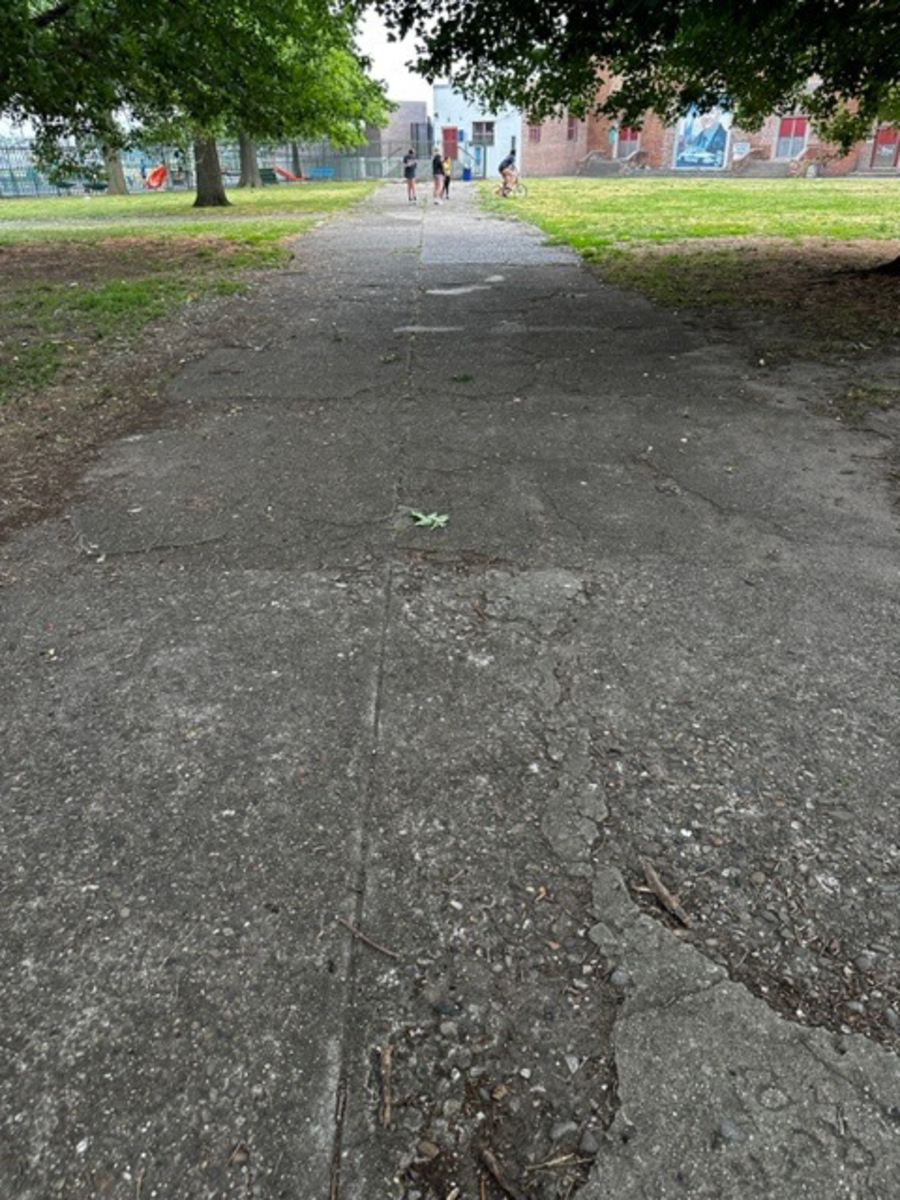 Photographic documentation of the work as submitted to the city's 311 record.