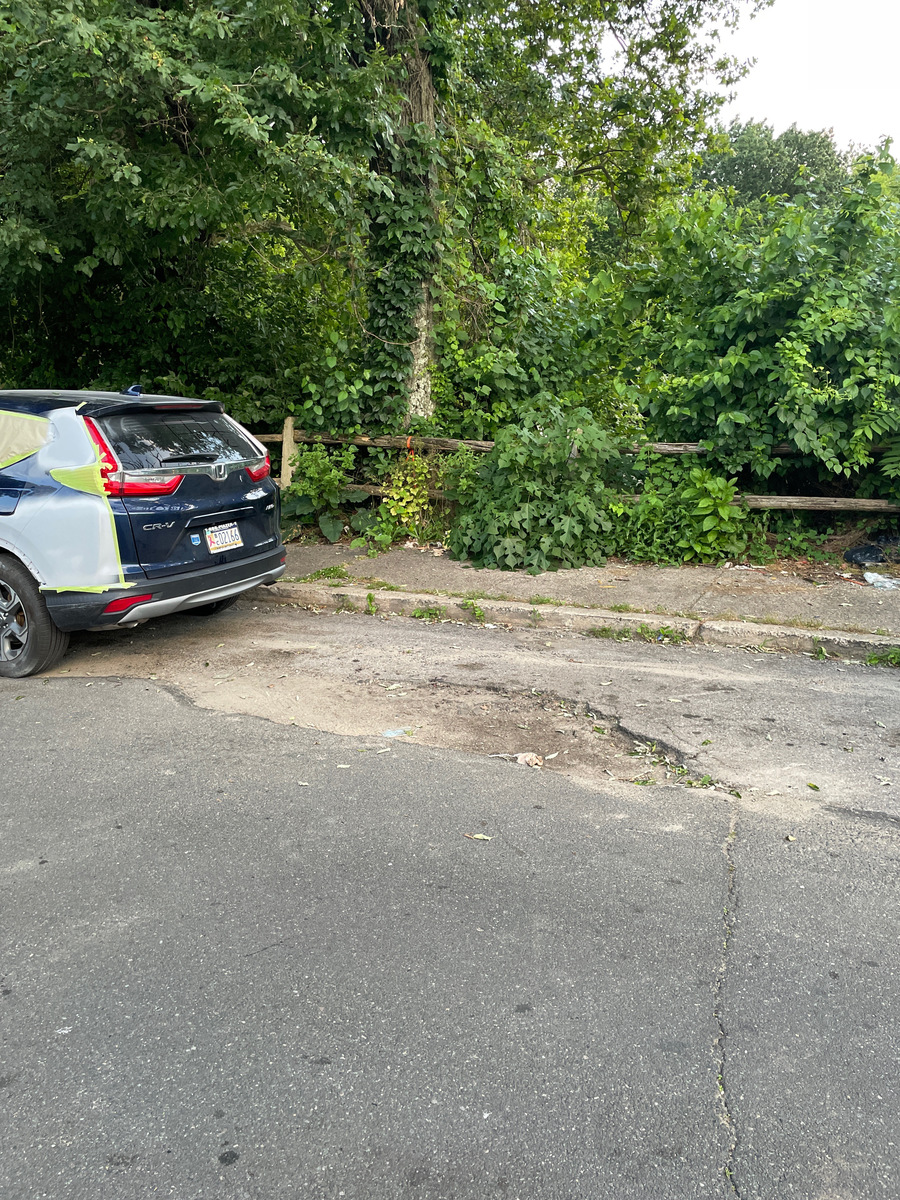 Photographic documentation of the work as submitted to the city's 311 record.