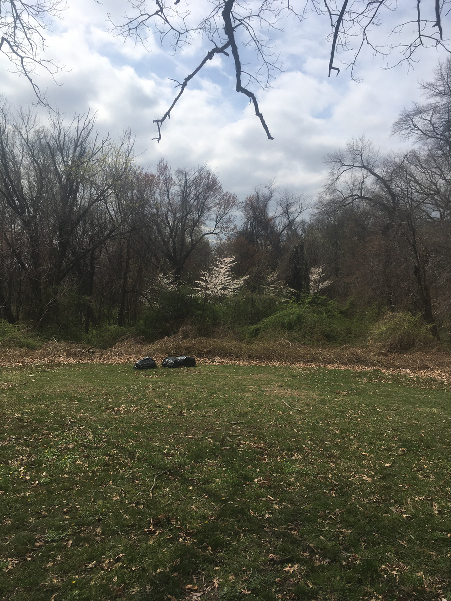 Photographic documentation of the work as submitted to the city's 311 record.