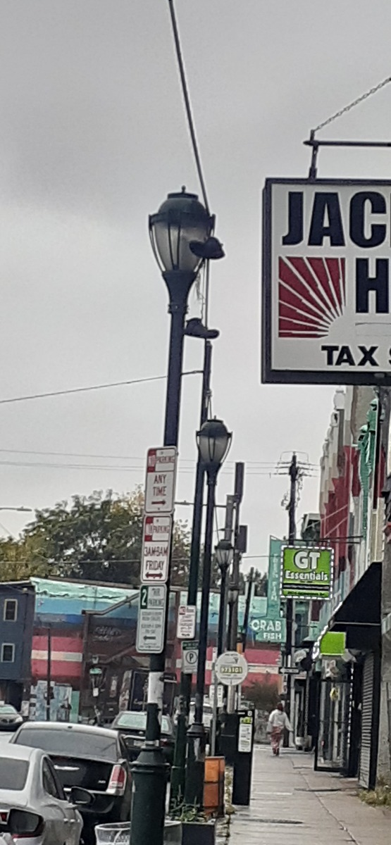 Photographic documentation of the work as submitted to the city's 311 record.