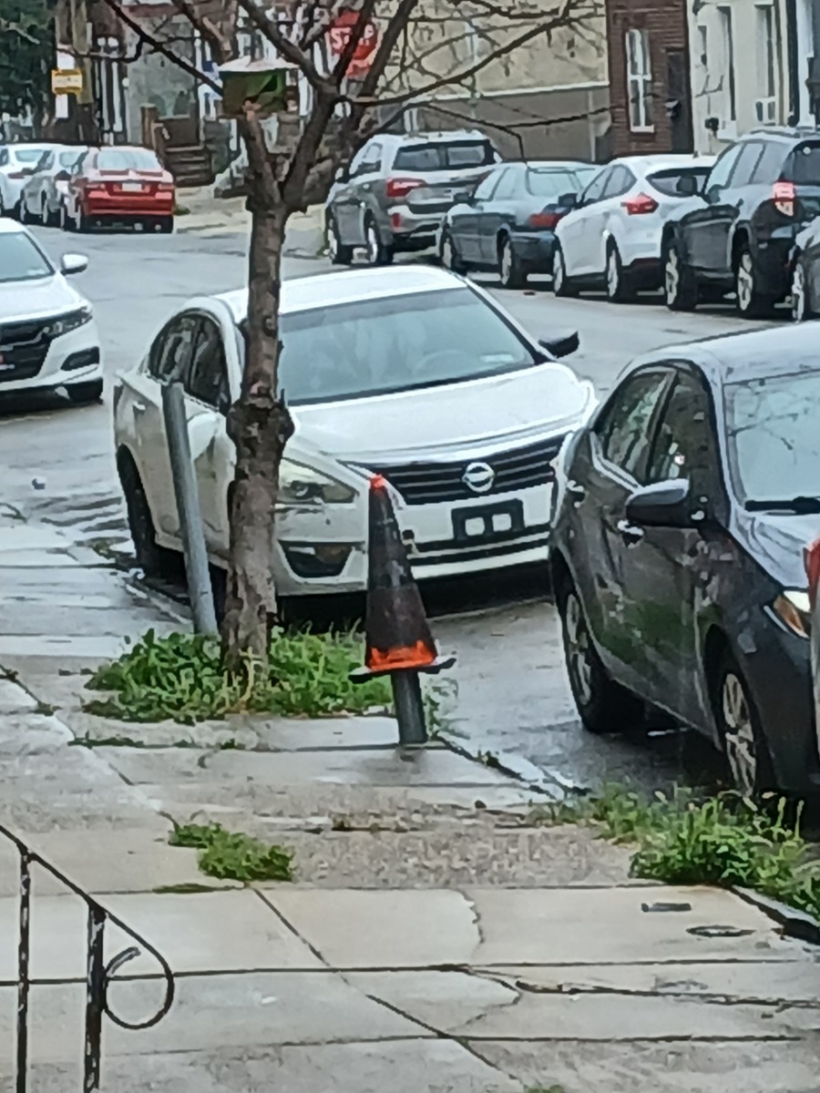 Photographic documentation of the work as submitted to the city's 311 record.
