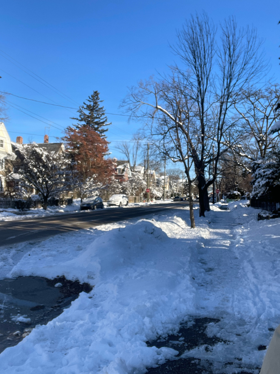 Photographic documentation of the work as submitted to the city's 311 record.
