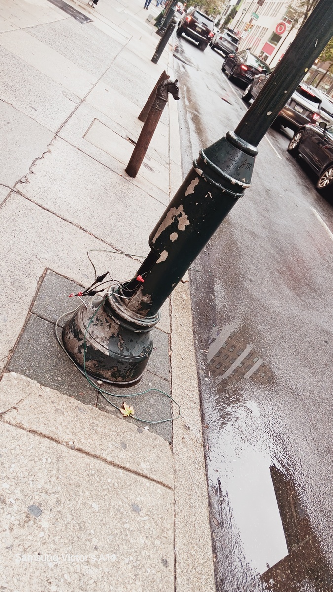 Photographic documentation of the work as submitted to the city's 311 record.
