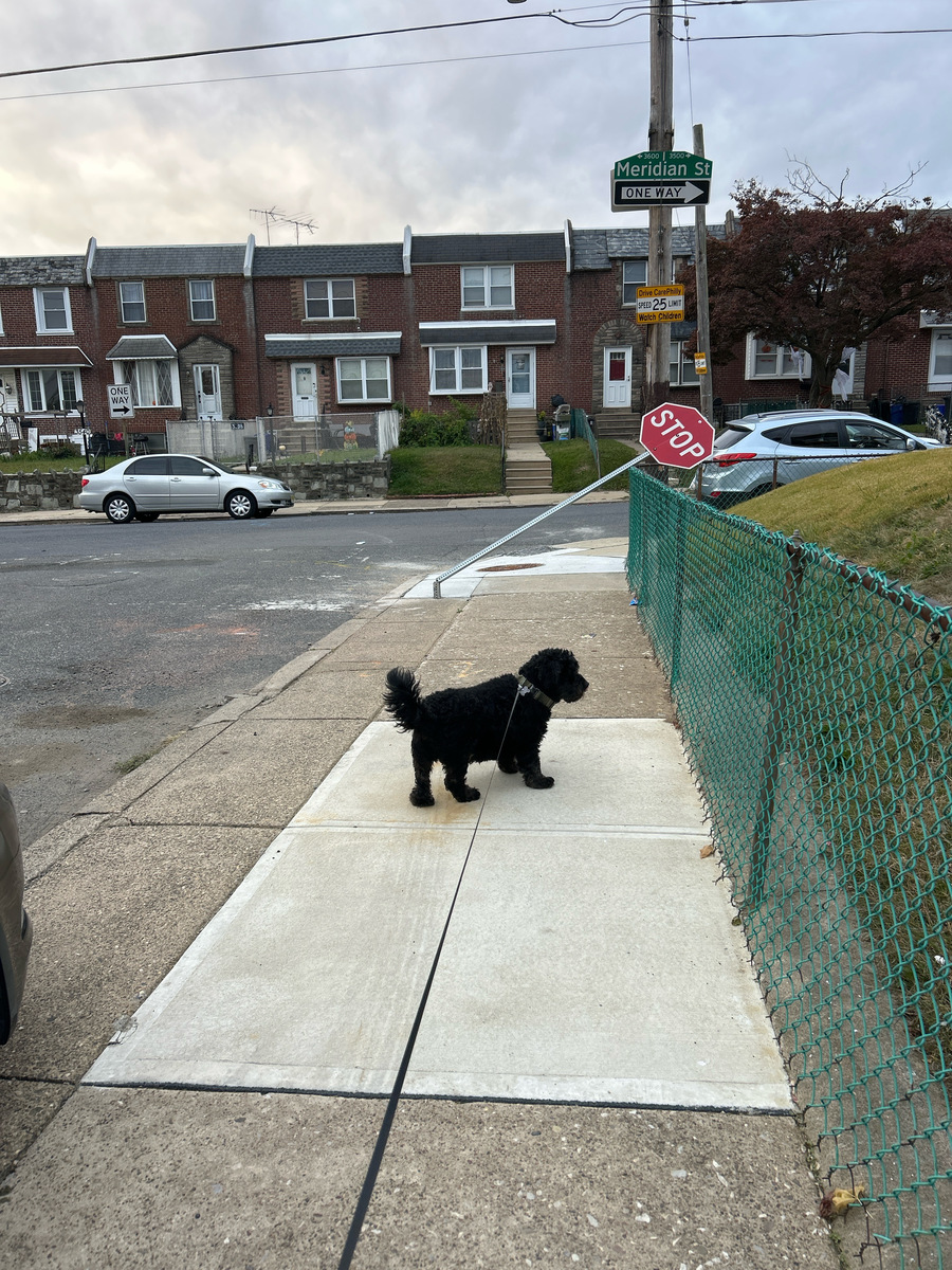 Photographic documentation of the work as submitted to the city's 311 record.