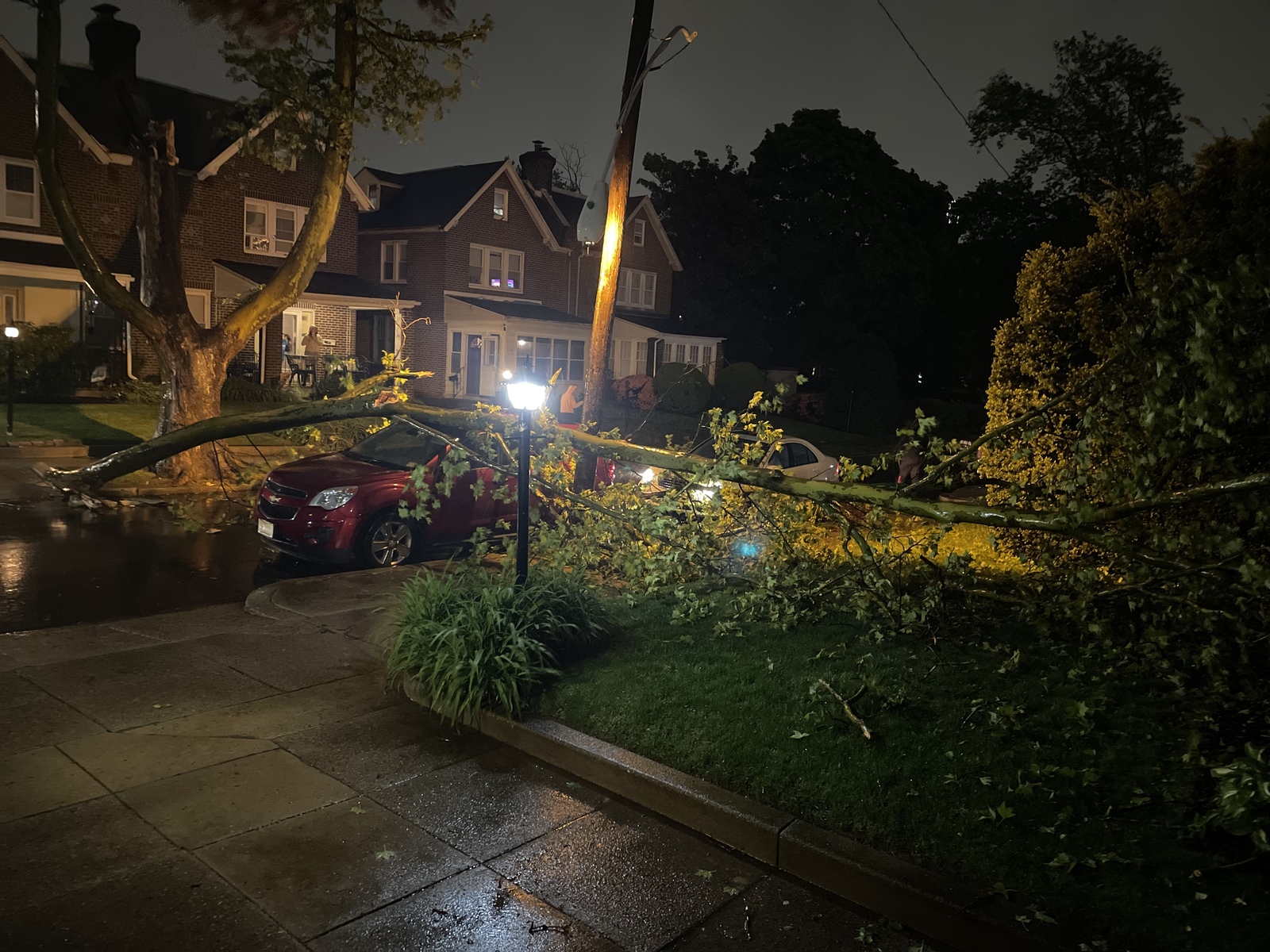 Photographic documentation of the work as submitted to the city's 311 record.