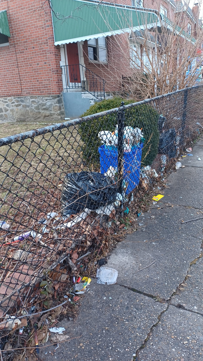 Photographic documentation of the work as submitted to the city's 311 record.