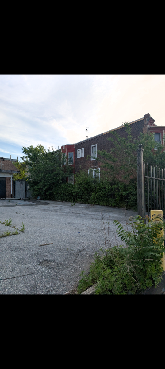 Photographic documentation of the work as submitted to the city's 311 record.