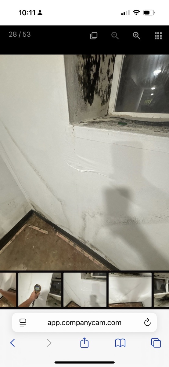 Photographic documentation of the work as submitted to the city's 311 record.