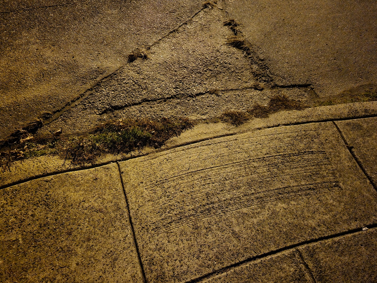 Photographic documentation of the work as submitted to the city's 311 record.