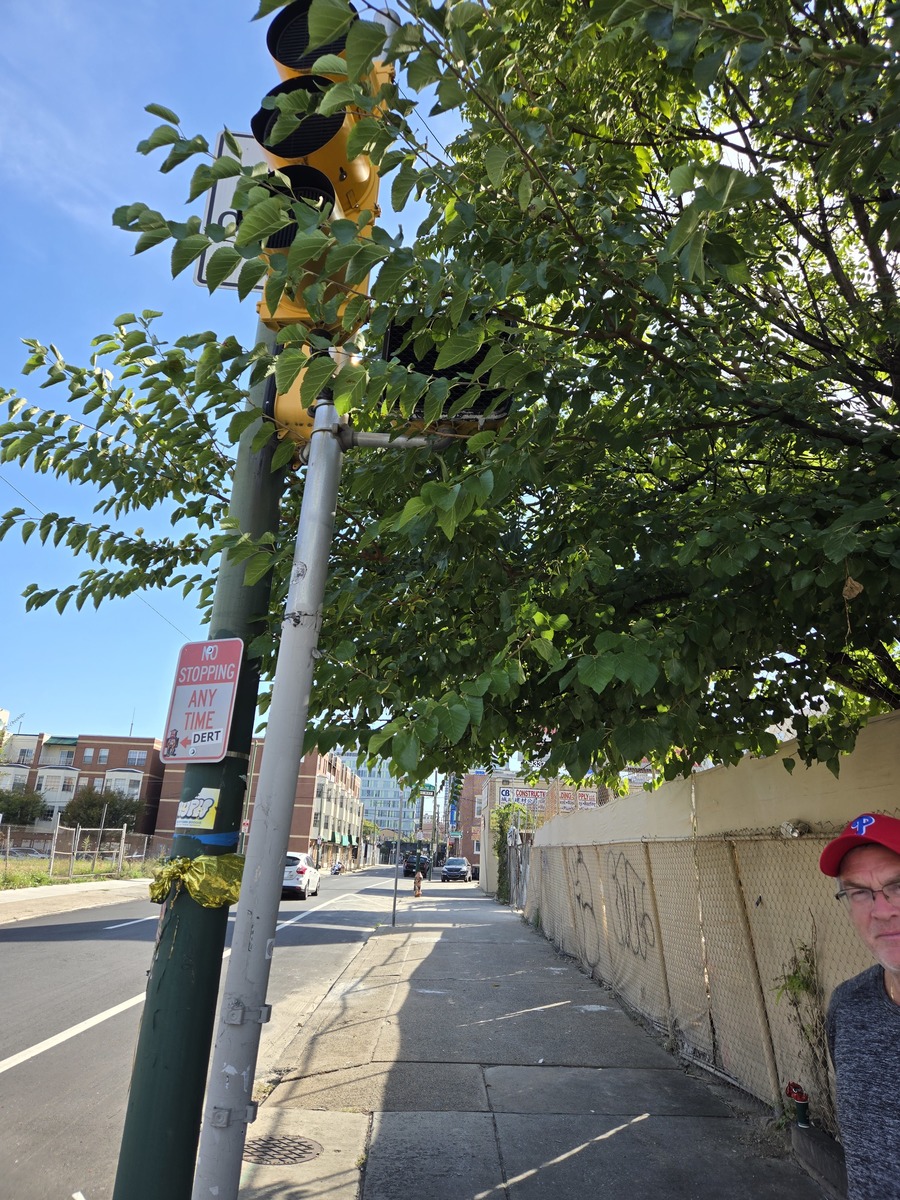 Photographic documentation of the work as submitted to the city's 311 record.