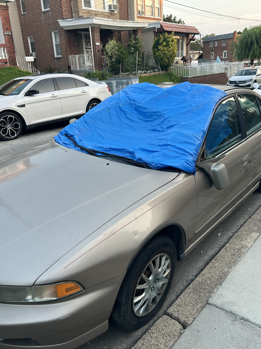 Photographic documentation of the work as submitted to the city's 311 record.