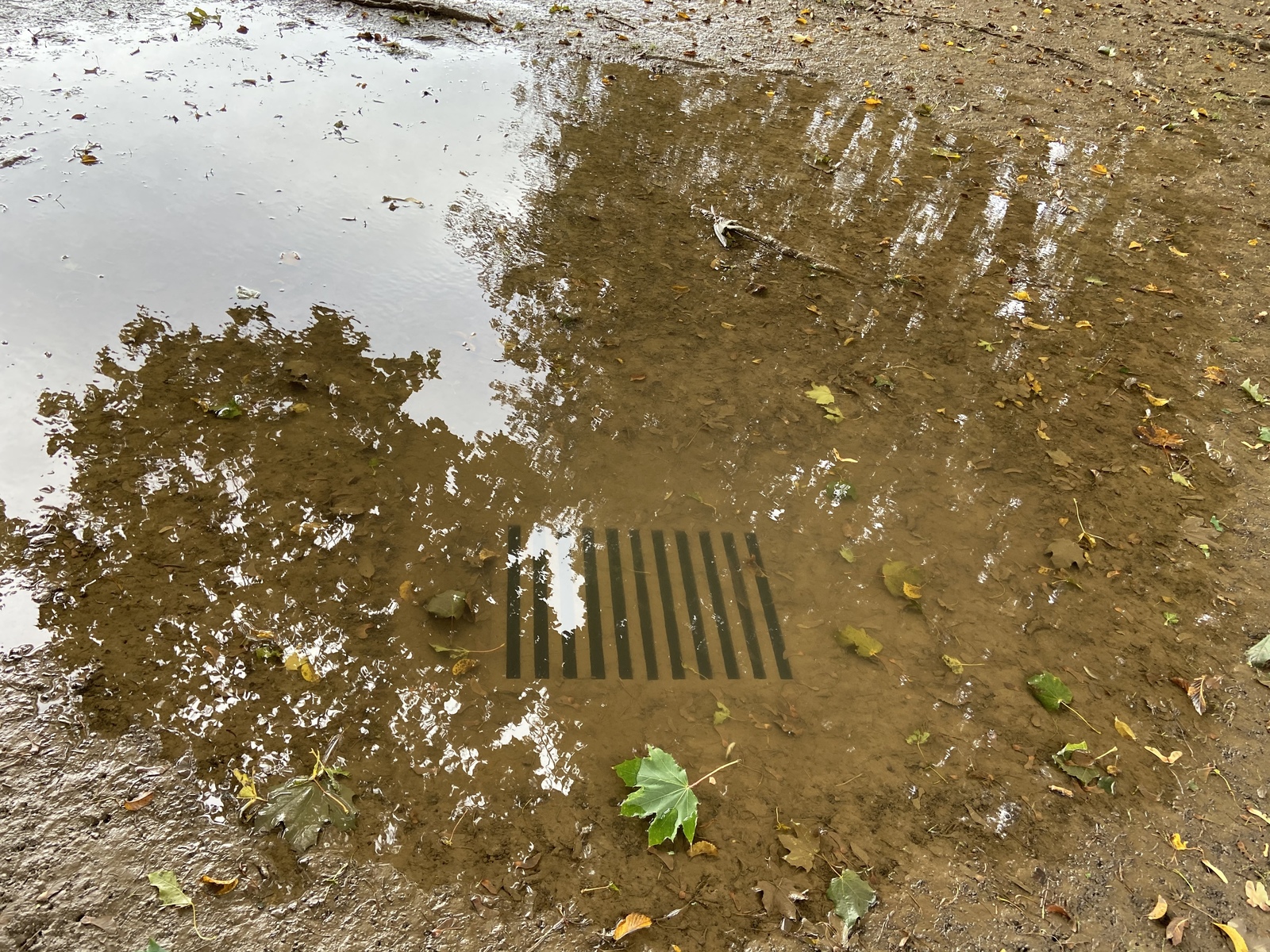 Photographic documentation of the work as submitted to the city's 311 record.