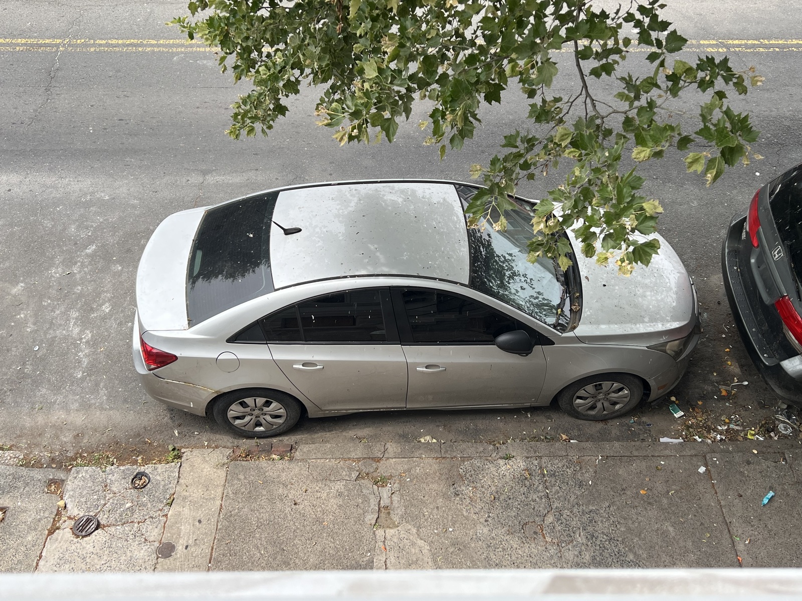 Photographic documentation of the work as submitted to the city's 311 record.
