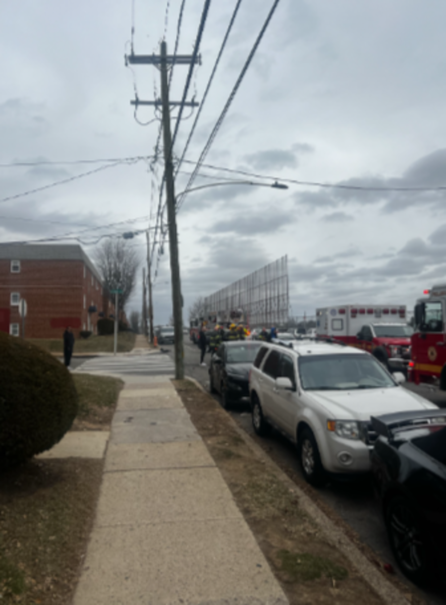 Photographic documentation of the work as submitted to the city's 311 record.