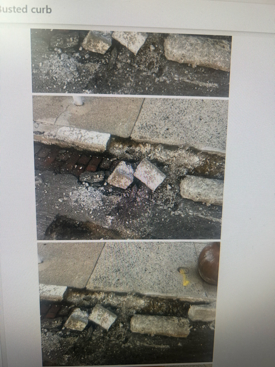 Photographic documentation of the work as submitted to the city's 311 record.