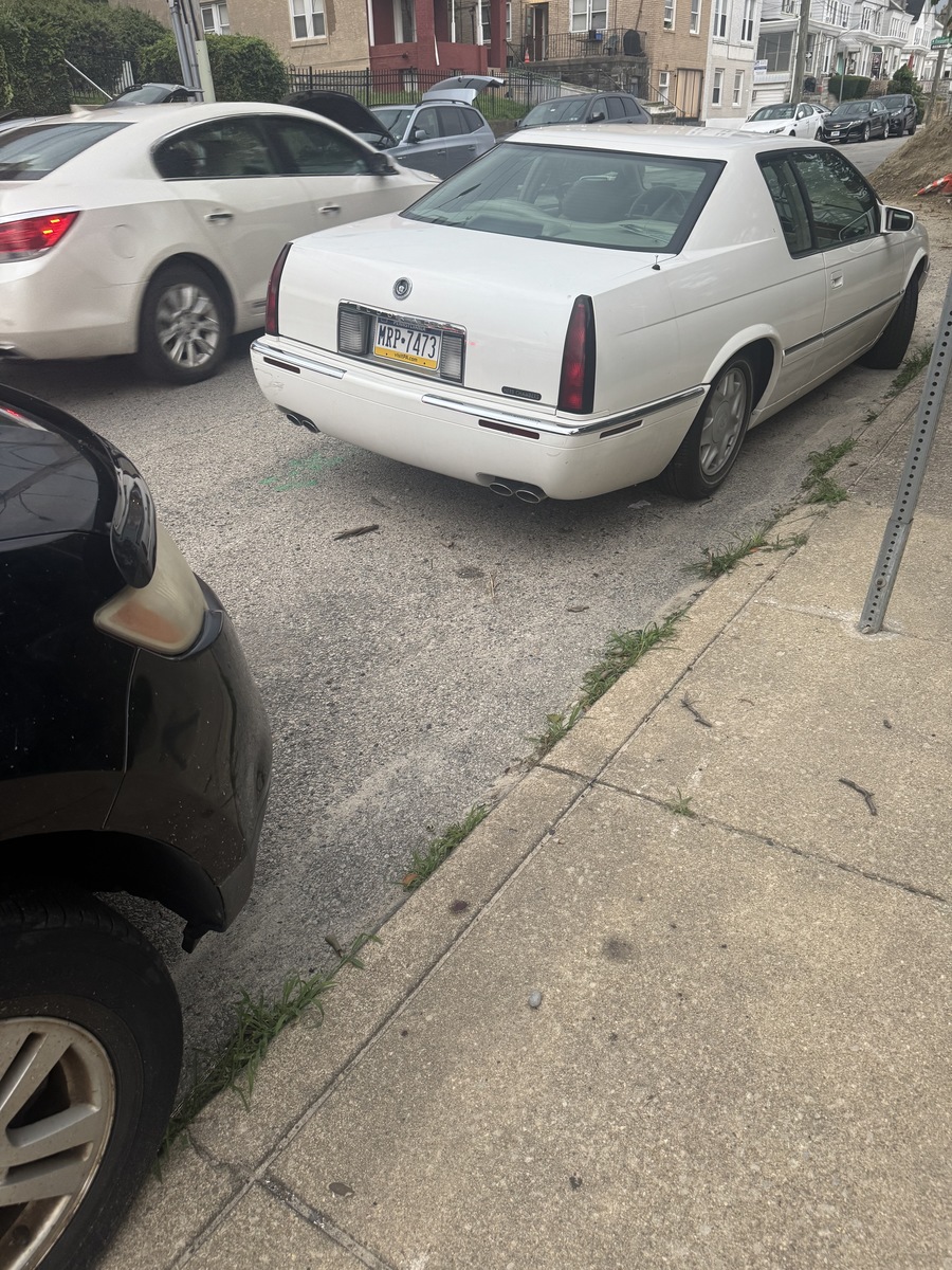 Photographic documentation of the work as submitted to the city's 311 record.