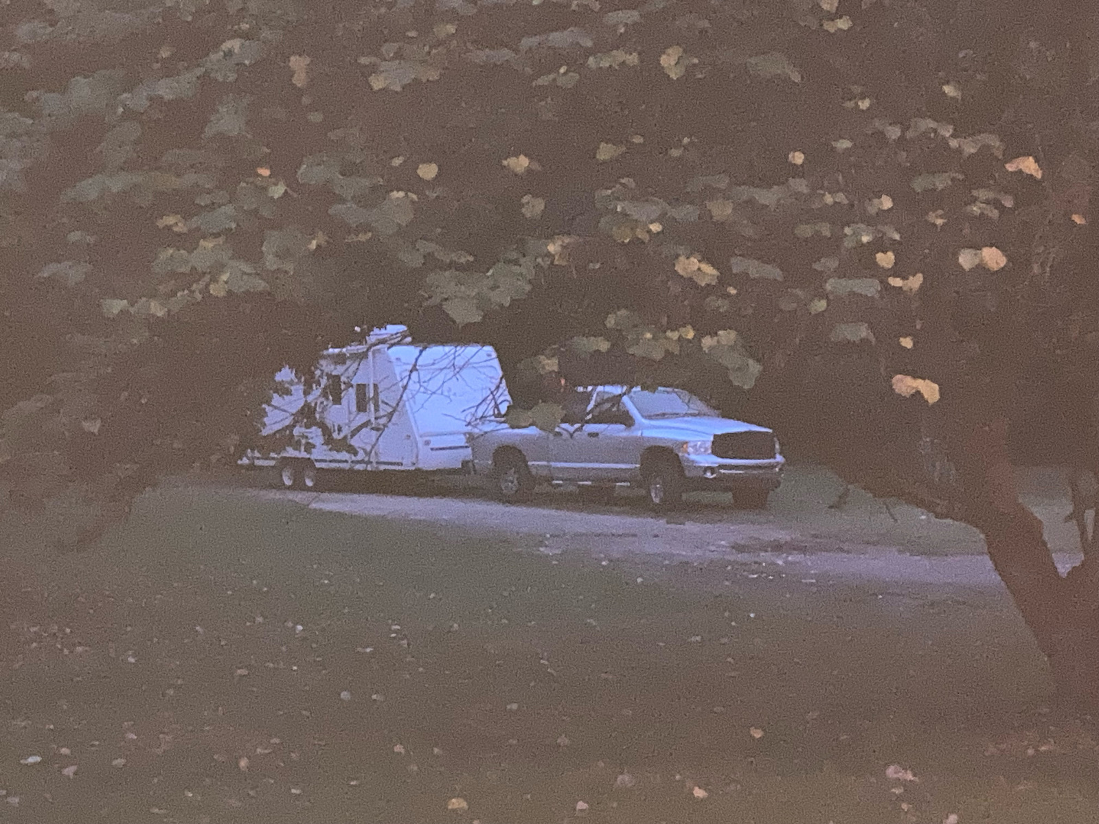 Photographic documentation of the work as submitted to the city's 311 record.