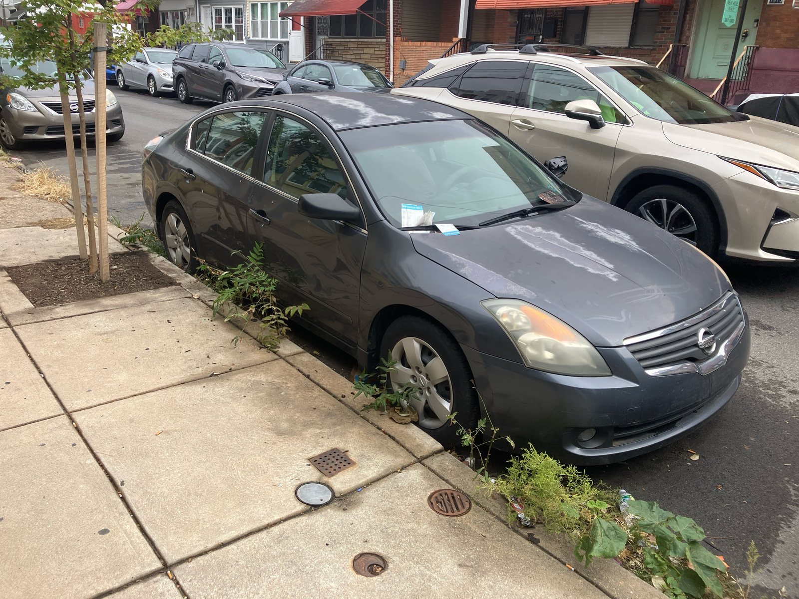 Photographic documentation of the work as submitted to the city's 311 record.
