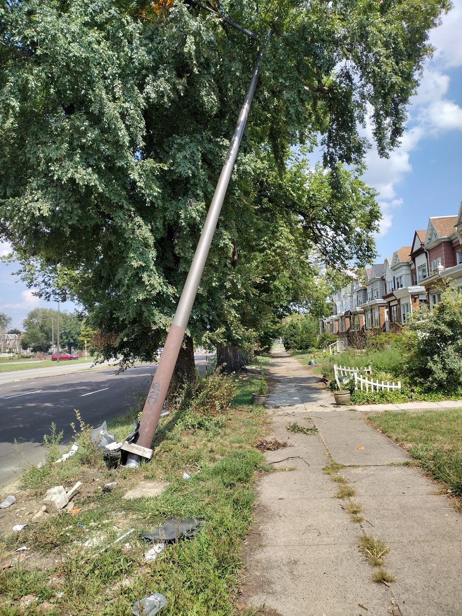 Photographic documentation of the work as submitted to the city's 311 record.