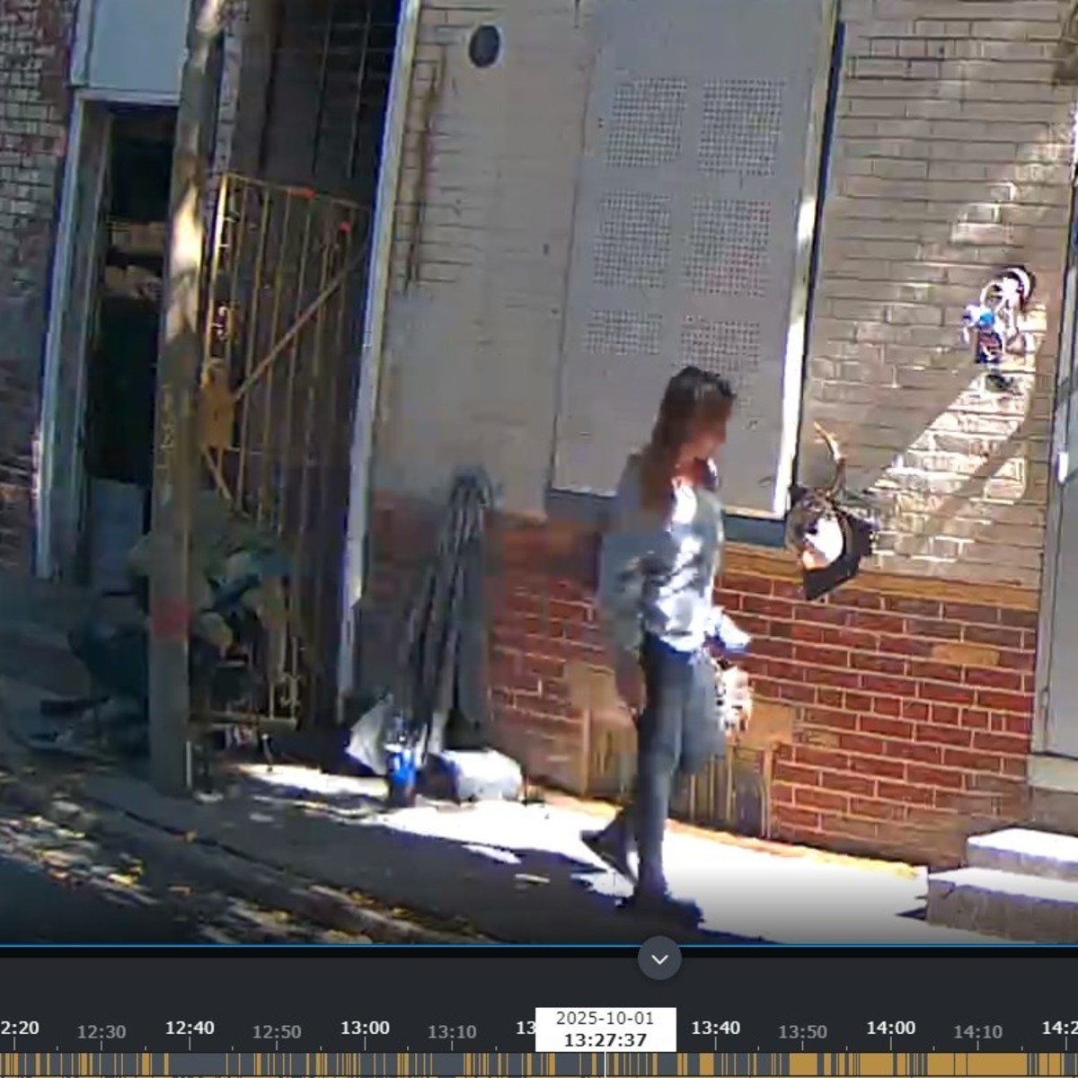 Photographic documentation of the work as submitted to the city's 311 record.