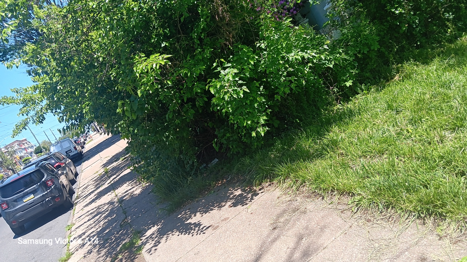 Photographic documentation of the work as submitted to the city's 311 record.