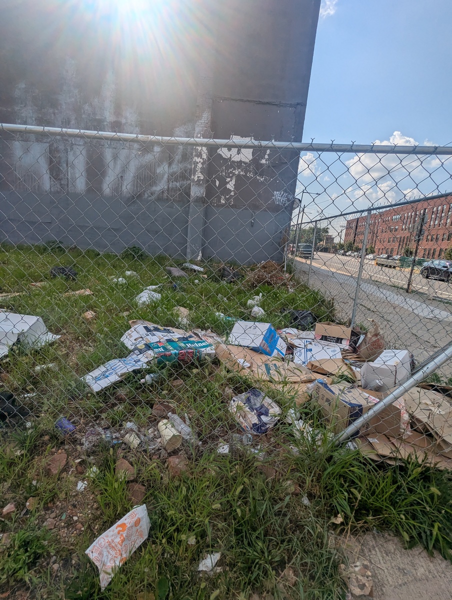Photographic documentation of the work as submitted to the city's 311 record.