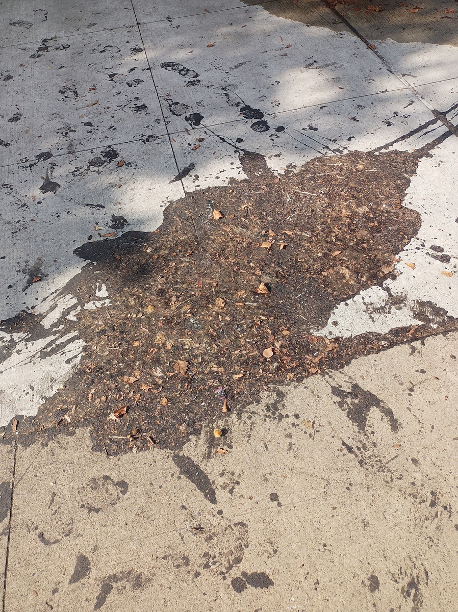 Photographic documentation of the work as submitted to the city's 311 record.