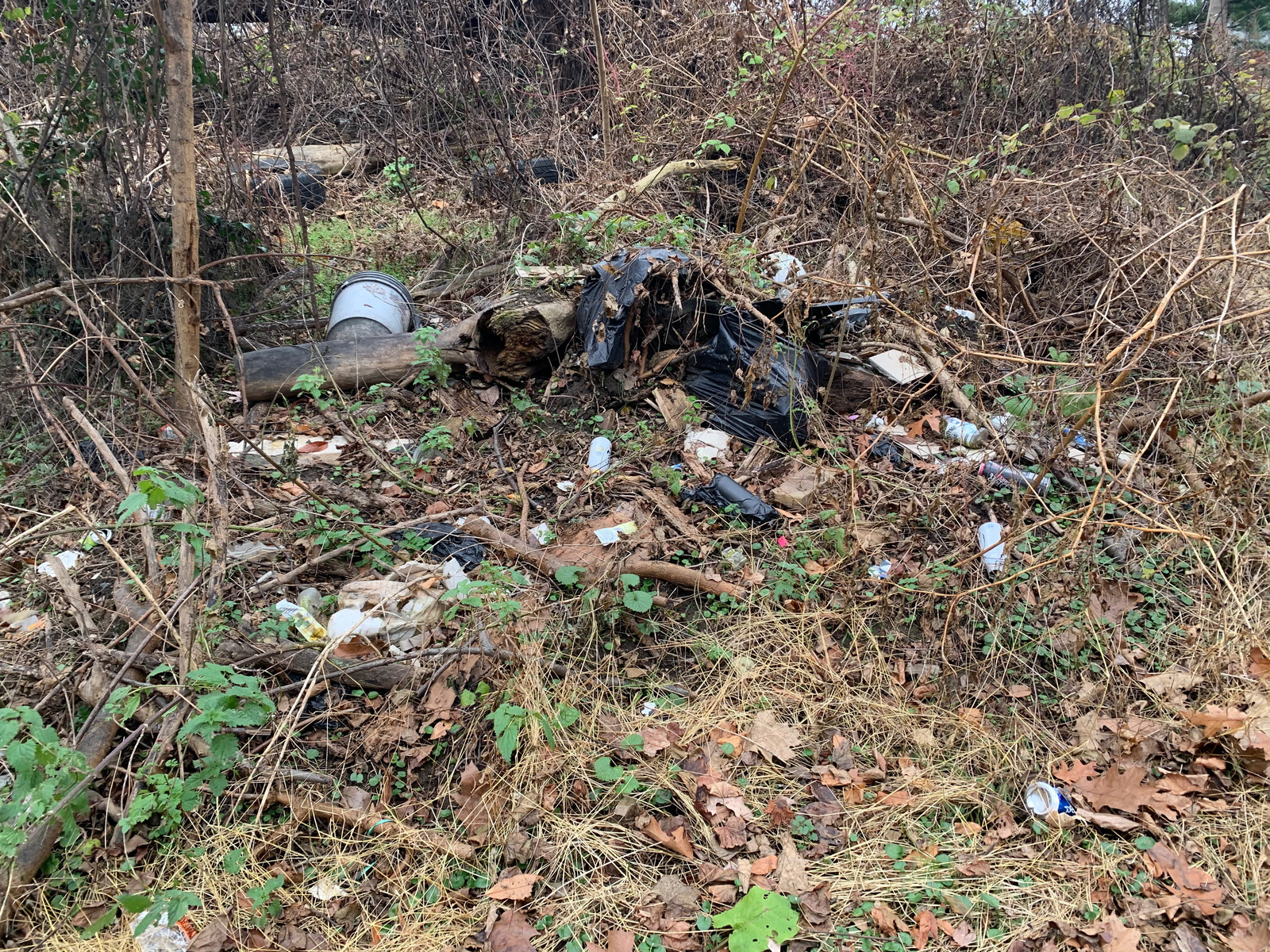 Photographic documentation of the work as submitted to the city's 311 record.