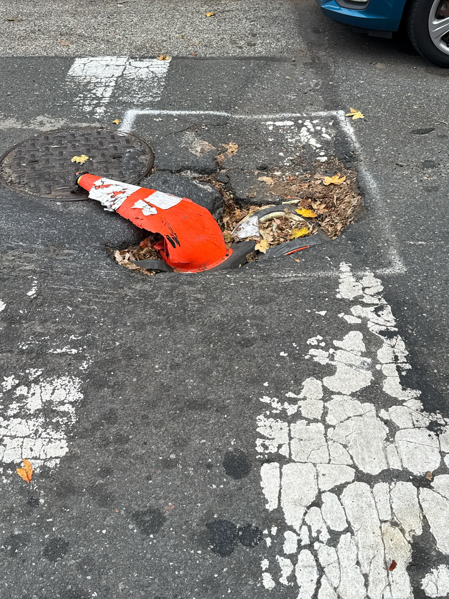 Photographic documentation of the work as submitted to the city's 311 record.