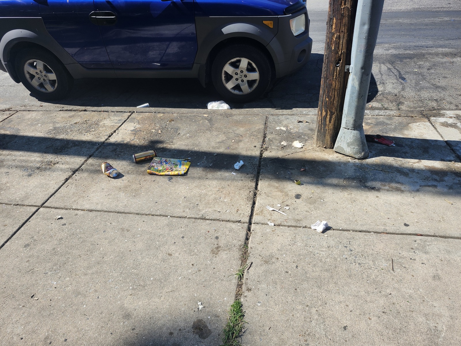 Photographic documentation of the work as submitted to the city's 311 record.