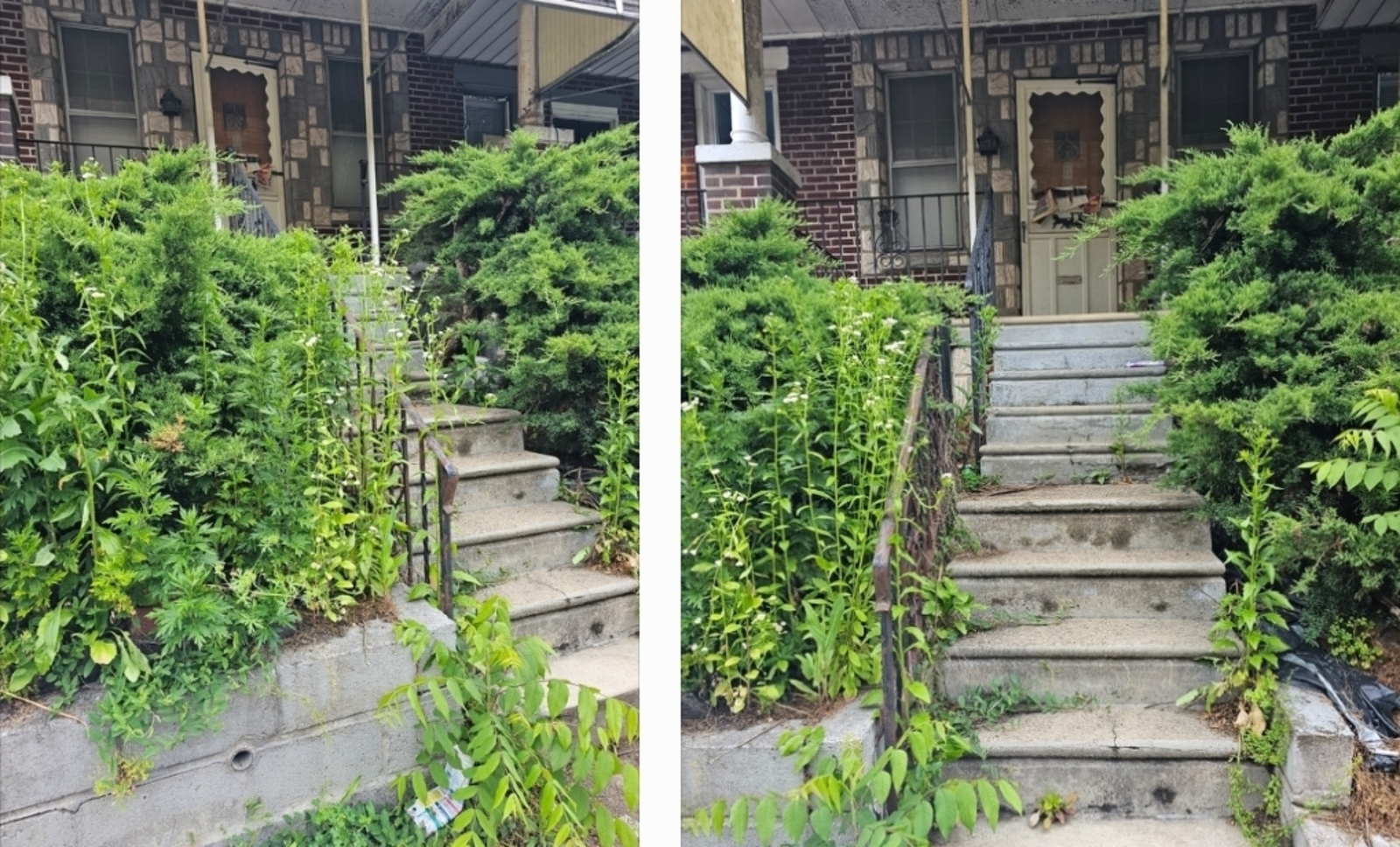 Photographic documentation of the work as submitted to the city's 311 record.