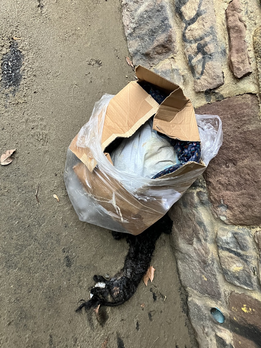 Photographic documentation of the work as submitted to the city's 311 record.