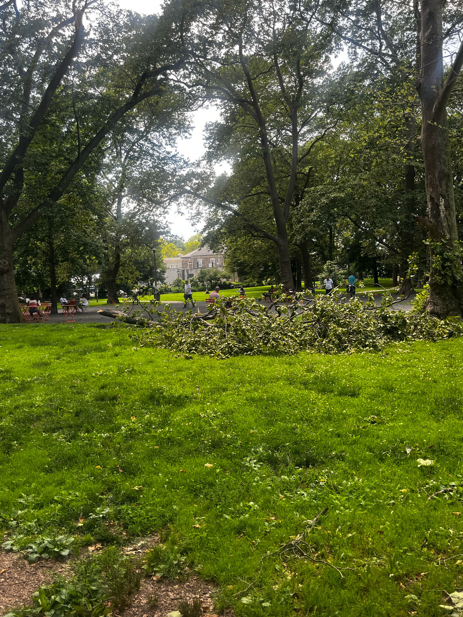 Photographic documentation of the work as submitted to the city's 311 record.