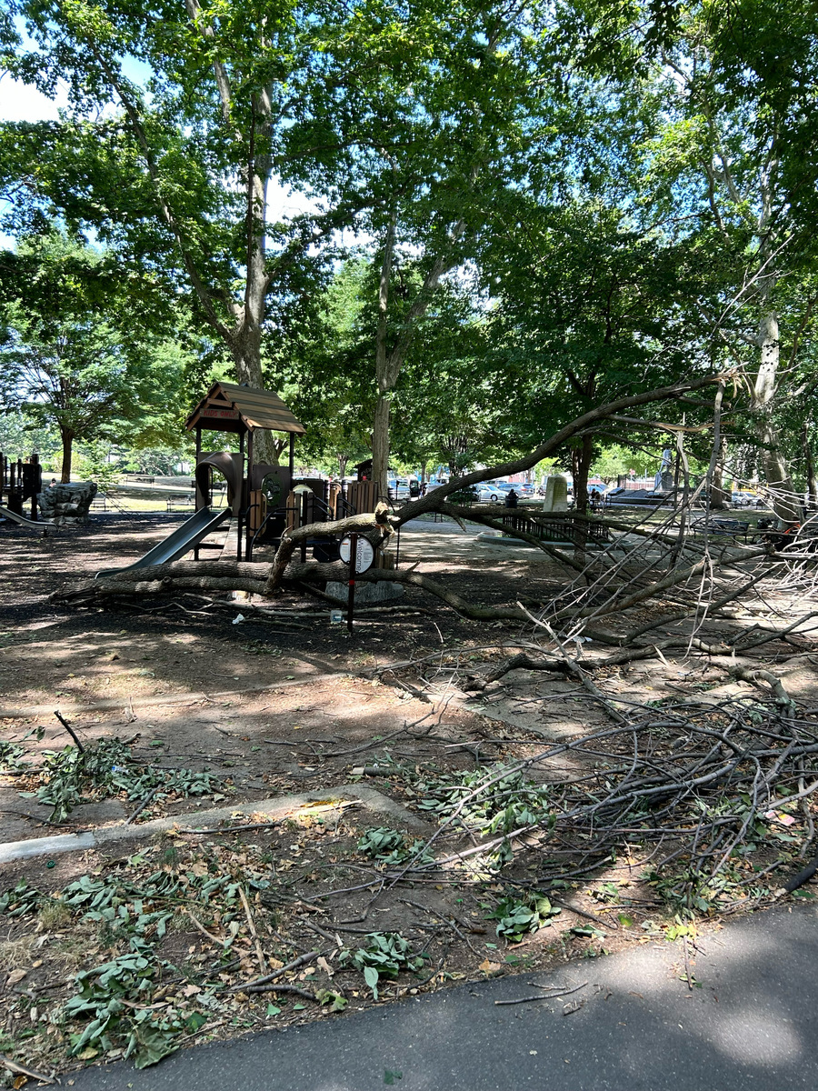 Photographic documentation of the work as submitted to the city's 311 record.