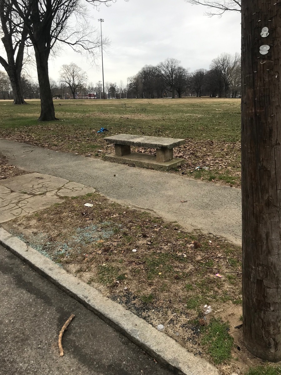 Photographic documentation of the work as submitted to the city's 311 record.