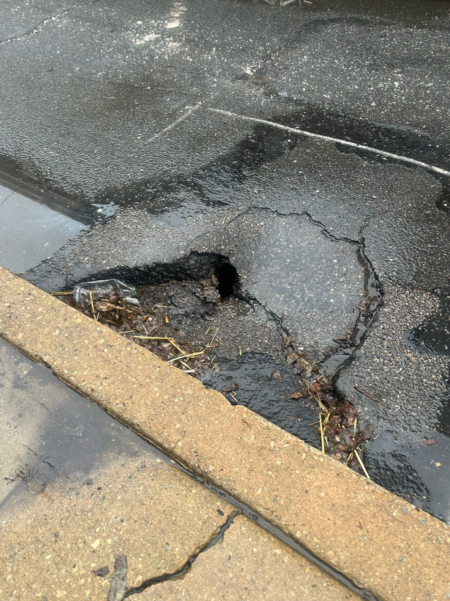 Photographic documentation of the work as submitted to the city's 311 record.