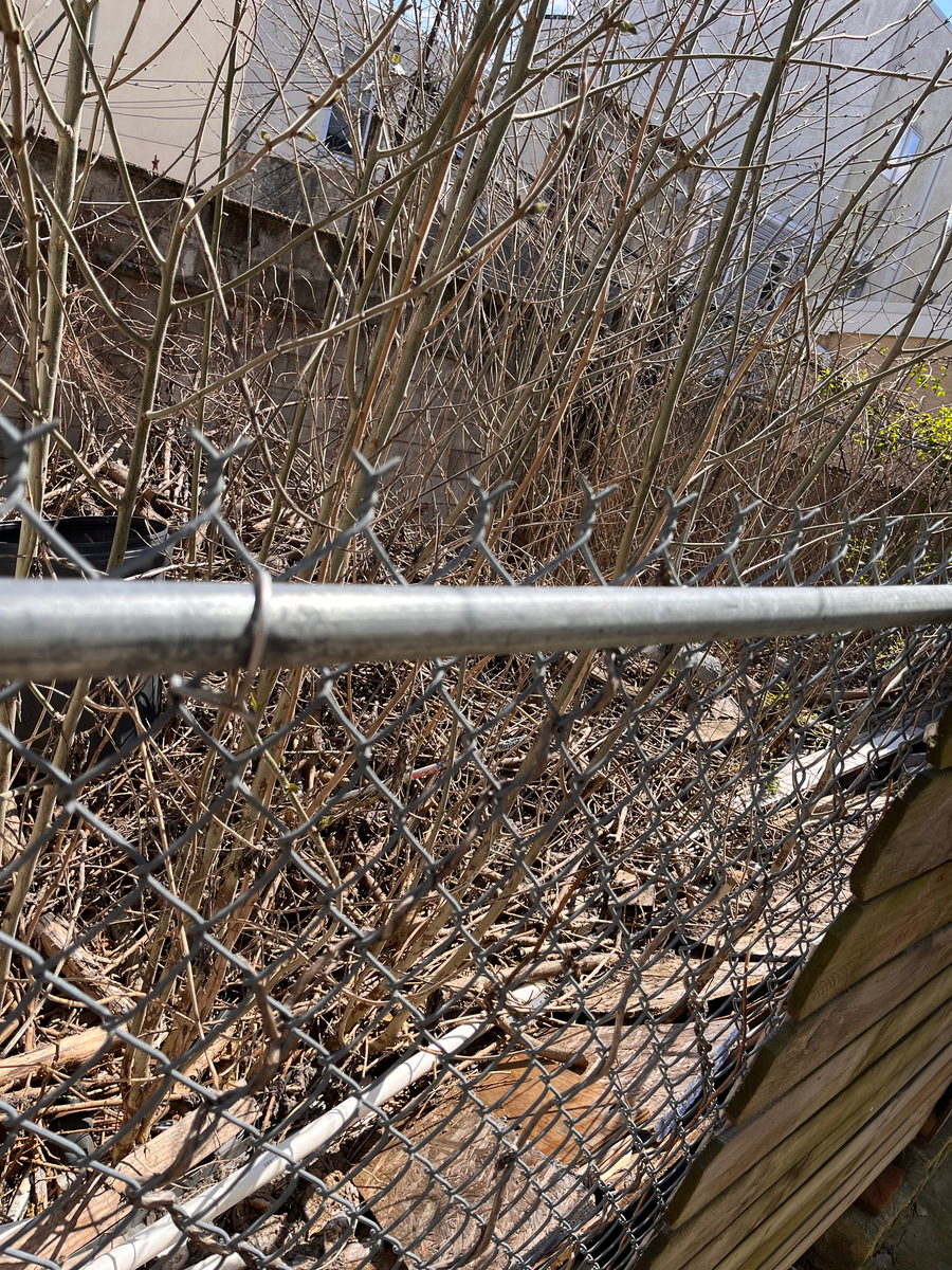 Photographic documentation of the work as submitted to the city's 311 record.