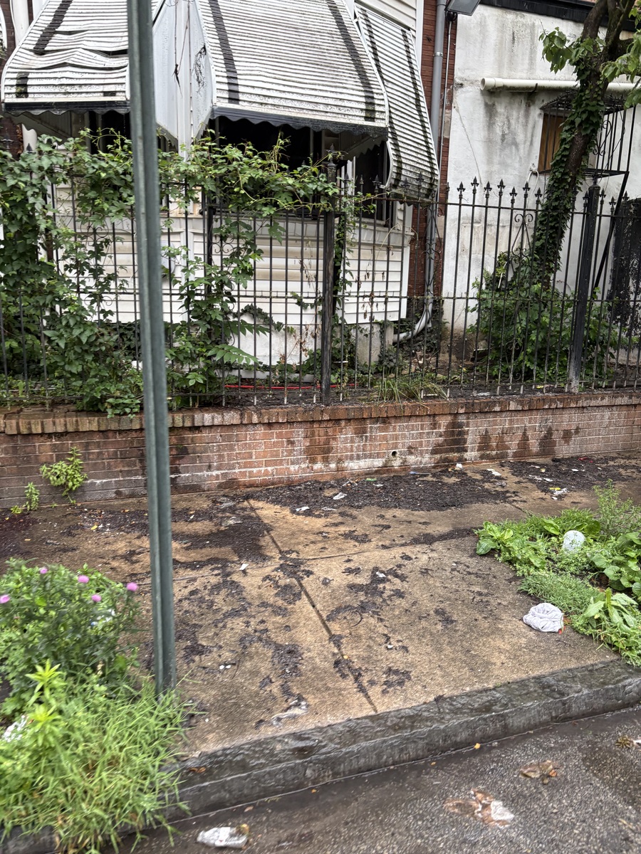 Photographic documentation of the work as submitted to the city's 311 record.