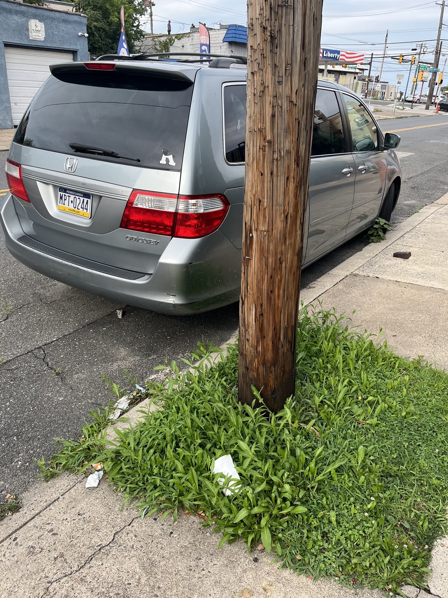 Photographic documentation of the work as submitted to the city's 311 record.