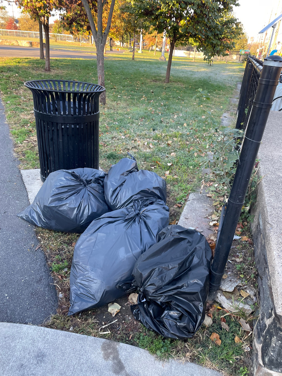 Photographic documentation of the work as submitted to the city's 311 record.