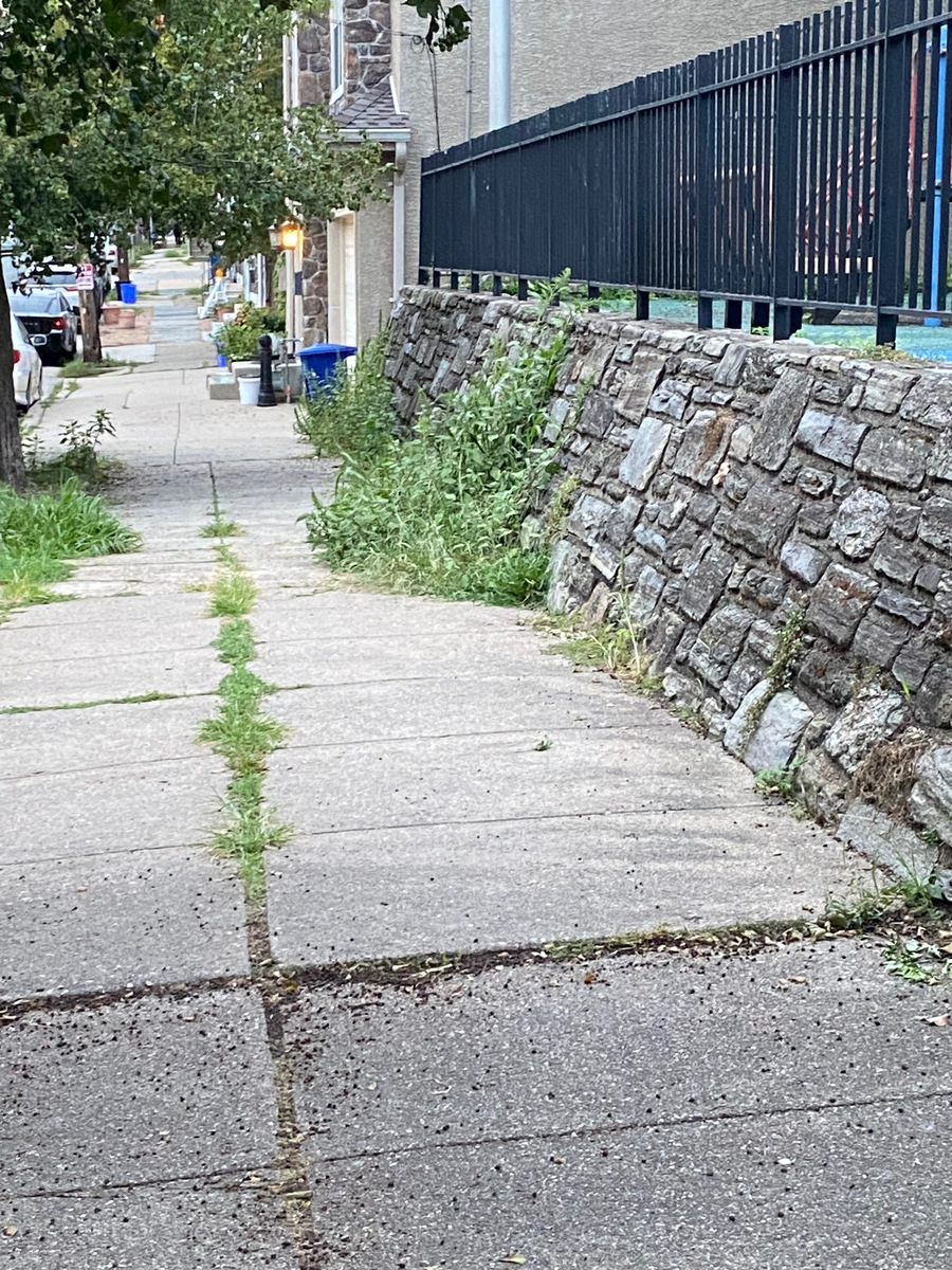 Photographic documentation of the work as submitted to the city's 311 record.