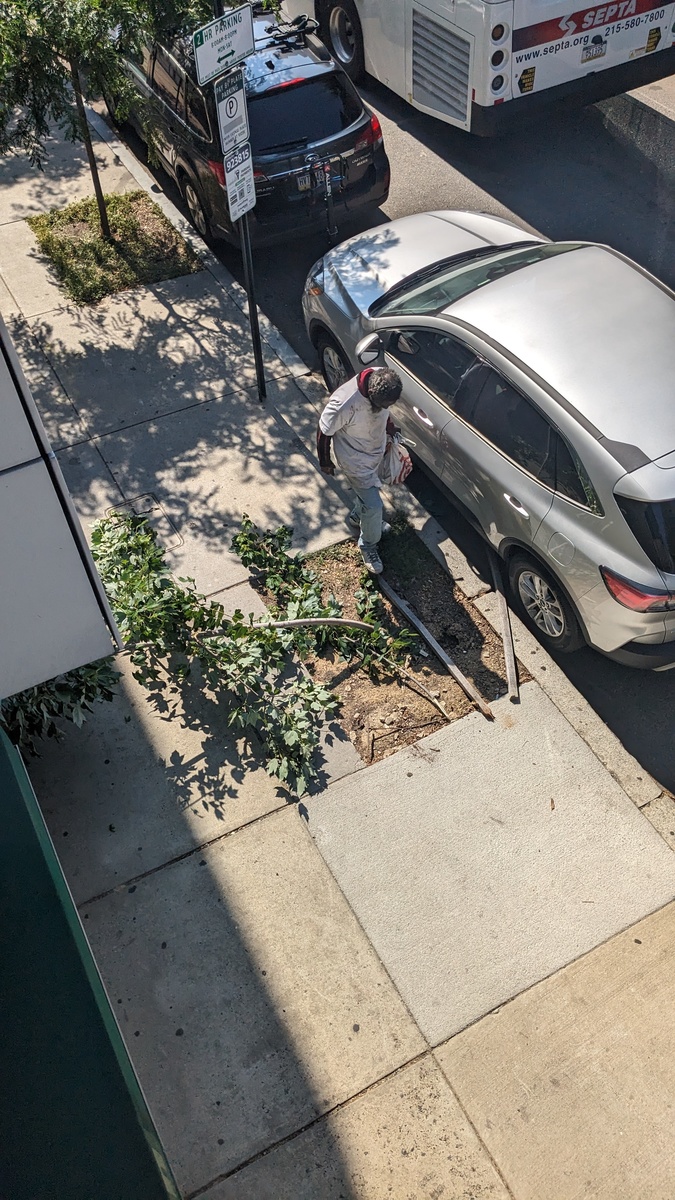 Photographic documentation of the work as submitted to the city's 311 record.