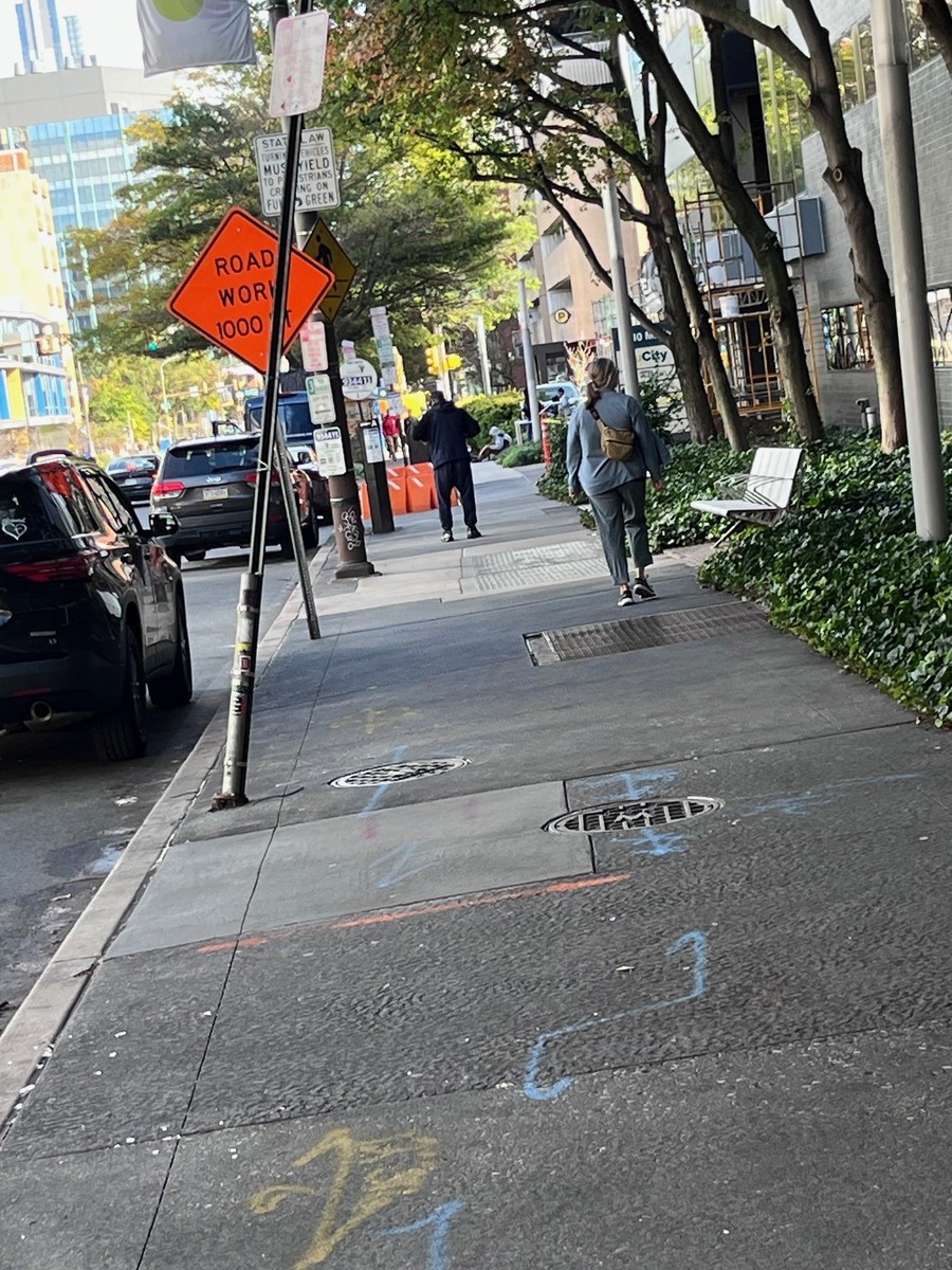 Photographic documentation of the work as submitted to the city's 311 record.