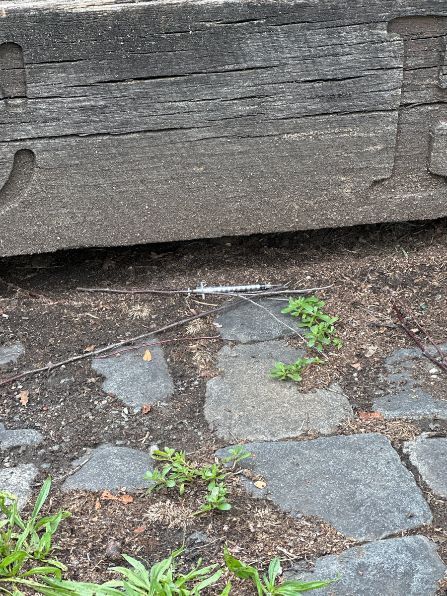 Photographic documentation of the work as submitted to the city's 311 record.