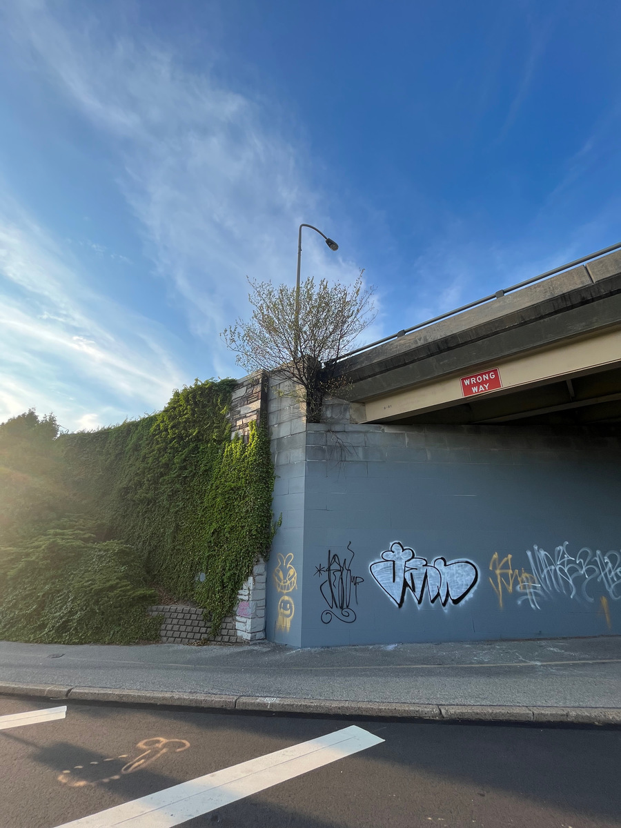 Photographic documentation of the work as submitted to the city's 311 record.